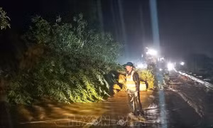 Thông tuyến Quốc lộ 6 đoạn qua huyện Vân Hồ (Sơn La) 