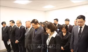 Phái đoàn Đại diện thường trực Việt Nam tại Liên hợp quốc tổ chức Lễ viếng nguyên Chủ tịch nước Lê Đức Anh