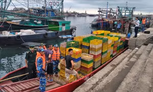 Sáu cán bộ hải quan cửa khẩu Móng Cái phải làm tường trình về quản lý đường biên giới