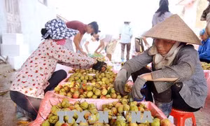 Đẩy mạnh hợp tác, tạo thuận lợi cho hàng nông sản Việt Nam và Trung Quốc