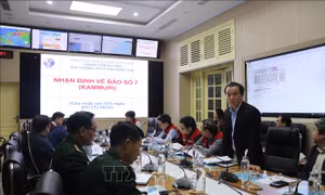 Thông tin kịp thời cho chủ tàu và thuyền trưởng diễn biến bão số 7