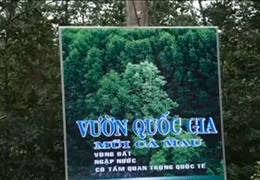 Khởi tố vụ án tham ô tài sản tại Vườn Quốc gia Mũi Cà Mau