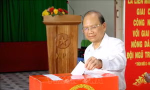 Cử tri Bình Thuận bỏ phiếu bầu trực tiếp 670 trưởng thôn, khu phố