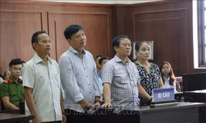 Làm giả hồ sơ để buôn lậu gỗ từ Lào về Việt Nam, hai vợ chồng ngồi tù 