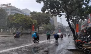 'Mưa vàng' góp phần giải nhiệt ngày đầu tiên trong kỳ nghỉ lễ ở TP Hồ Chí Minh