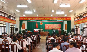 'Nóng' chất vấn về quản lý, bảo vệ rừng thông tại kỳ họp của HĐND tỉnh Đắk Nông