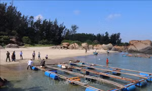 Các hộ dân tháo dỡ lồng bè nuôi trồng thủy sản ở khu vực quy hoạch Dung Quất