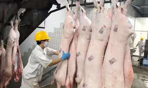 Bộ Tài chính đề xuất giảm thuế nhập khẩu thịt