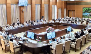 Phân công nhiệm vụ và tiến độ thực hiện Nghị quyết của Quốc hội về xây dựng luật, pháp lệnh