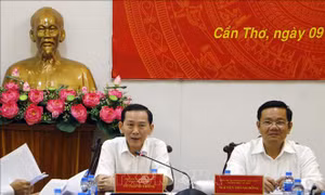 Chủ tịch UBND Cần Thơ yêu cầu kiểm tra thông tin 'có giấy phép lái xe nhưng không biết chữ'