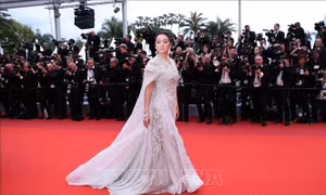 Liên hoan phim Cannes 2019: Hứa hẹn nhiều hấp dẫn, Việt Nam tham gia với 2 tác phẩm