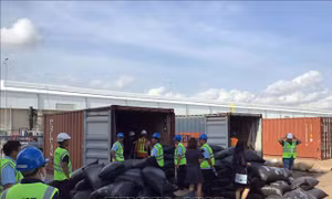 Phát hiện hơn 5 tấn vảy sừng tê tê trong 2 container tại cảng Cái Mép