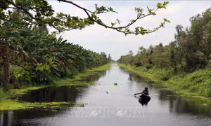 Đa dạng hóa hoạt động du lịch sinh thái ở Vườn quốc gia U Minh Thượng
