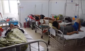 Dịch sốt xuất huyết tại Đà Nẵng diễn biến phức tạp