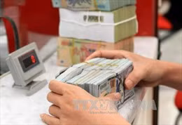 Tỷ giá trung tâm tăng 10 đồng, giá đồng USD tăng mạnh