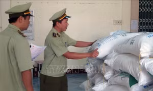 Phú Yên tạm giữ 30 tấn đường không rõ nguồn gốc