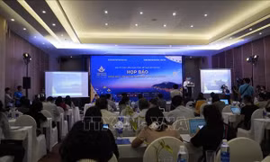 Khai mạc triển lãm 'Biển đảo Việt Nam qua góc nhìn điện ảnh'