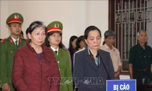 Lừa xin việc cho hàng chục người, 2 bị cáo lĩnh án 24 năm tù giam