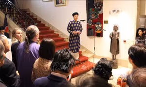 Đầm ấm không khí đón Tết cổ truyền Kỷ Hợi 2019 tại Bỉ và Nam Phi