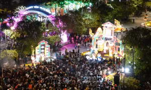 Khai mạc Đường hoa Nguyễn Huệ Tết Kỷ Hợi 2019: TP Hồ Chí Minh - Vững bước vươn xa