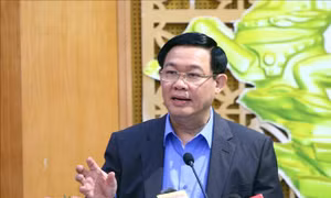 Phó Thủ tướng Vương Đình Huệ: Thông tin sai, nhiễu loạn là giết chết các quyết định
