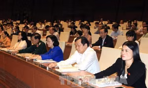 Luật Tiếp cận thông tin được triển khai thi hành như thế nào?