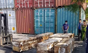 Giấu 1,4 tấn vảy tê tê và hơn 100 kg ngà voi trong container 