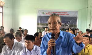 Hàng trăm người tiếp tục dựng lán trại phản đối dự án điện mặt trời ở Bình Định