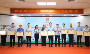 Phát huy vai trò của Đoàn, Đội trong bảo vệ, chăm sóc, giáo dục trẻ em