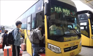 Công bố đường dây nóng về trật tự, an toàn giao thông dịp Tết