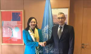 Đưa quan hệ hợp tác giữa Việt Nam và UNESCO tiếp tục đi vào chiều sâu
