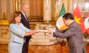 Nỗ lực thúc đẩy hơn nữa quan hệ Việt Nam - Peru