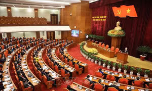Triển khai quyết liệt, toàn diện và liên tục công tác xây dựng, chỉnh đốn Đảng