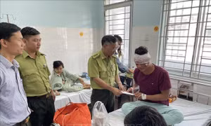 Truy bắt các nghi can chém trọng thương 3 kiểm lâm Vườn Quốc gia Cát Tiên