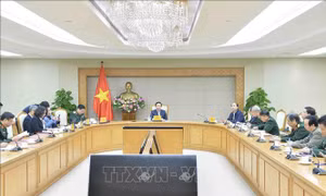 Tập trung nguồn lực cho công tác tìm kiếm, quy tập hài cốt liệt sỹ