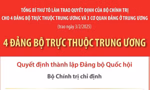 Nhân sự 4 Đảng bộ trực thuộc Trung ương được trao Quyết định ngày 3/2/2025