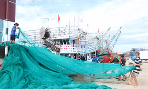 Khắc phục "thẻ vàng" IUU: Quảng Trị không để tàu cá vi phạm vùng biển nước ngoài