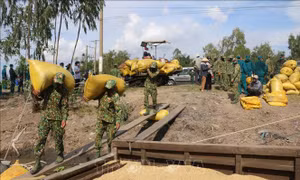 Hỗ trợ kết nối đầu ra cho nông sản tại các địa phương đang giãn cách xã hội