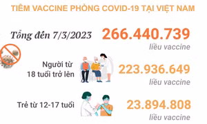 Tình hình tiêm vaccine phòng COVID-19 tại Việt Nam tính đến hết ngày 7/3/2023