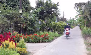 Niềm vui đón Xuân trên những cung đường nông thôn mới