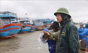 Đà Nẵng không lơ là, chủ quan với bão số 13