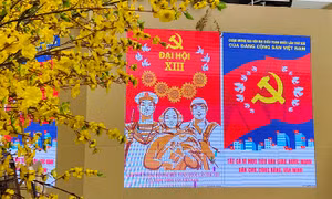 Đại hội XIII của Đảng: Bạn bè Mỹ chia sẻ tình đoàn kết với Việt Nam 