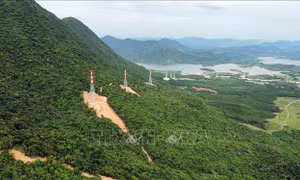 Đường dây 500 kV mạch 3 giai đoạn nước rút - Bài cuối: Dốc toàn lực vượt khó