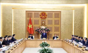 Phân công công tác của Thủ tướng và các Phó Thủ tướng Chính phủ