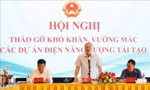 Tập trung tháo gỡ khó khăn, vướng mắc cho các dự án điện năng lượng tái tạo
