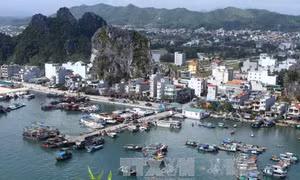 Quảng Ninh lấy ý kiến tham gia dự án Luật đơn vị hành chính kinh tế đặc biệt