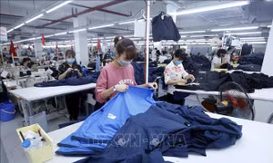 Sớm có hướng dẫn để doanh nghiệp hưởng ưu đãi thuế quan từ EVFTA