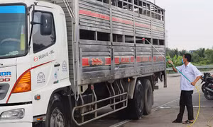 Hải Phòng cho phép xe vận chuyển hàng hóa từ Hải Dương vào thành phố