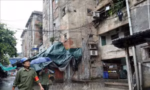 Nam Định hoàn thành di dời trên 1.000 người ra khỏi chung cư cũ trước khi bão đổ bộ