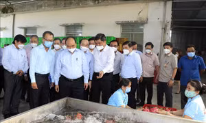 Chủ tịch nước: Huy động sức mạnh tổng hợp trong phát triển kinh tế tập thể ở Tiền Giang